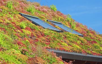 Upton Bishop living roof systems