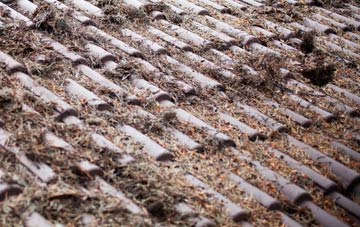 Upton Bishop roof cleaning companies